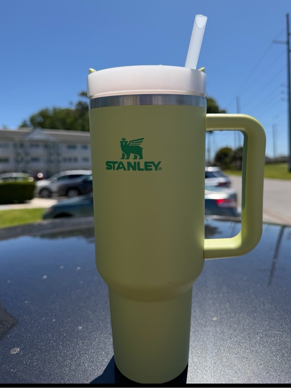 Stanley Olive Green Travel Mug with White Lid and Straw 40 oz brand new